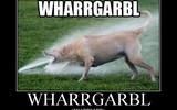Wharrgarbl
